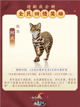 起源传说天龙八部私服